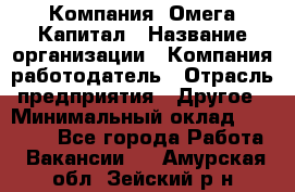 Компания «Омега Капитал › Название организации ­ Компания-работодатель › Отрасль предприятия ­ Другое › Минимальный оклад ­ 40 000 - Все города Работа » Вакансии   . Амурская обл.,Зейский р-н